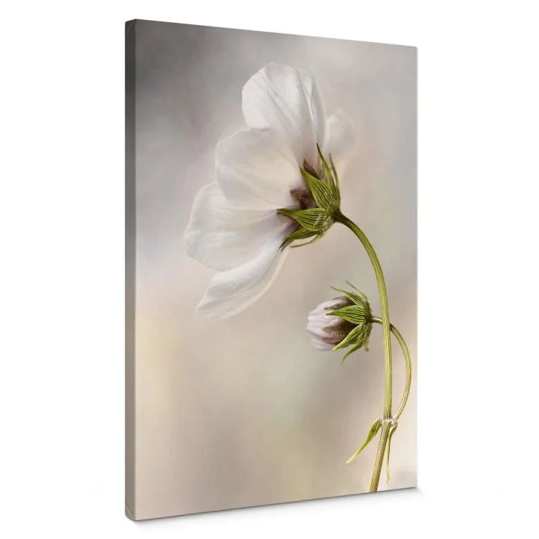 wall-art-1392555