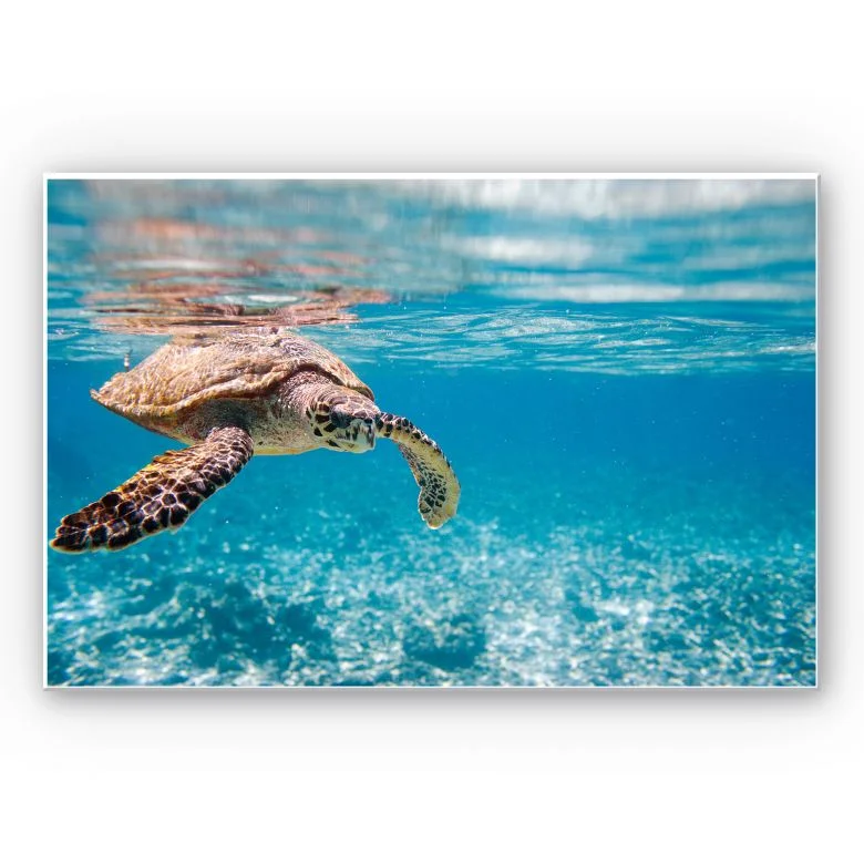 wall-art-1392688