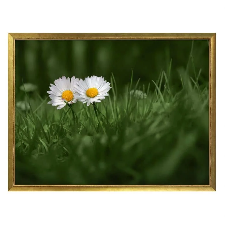 wall-art-1392763