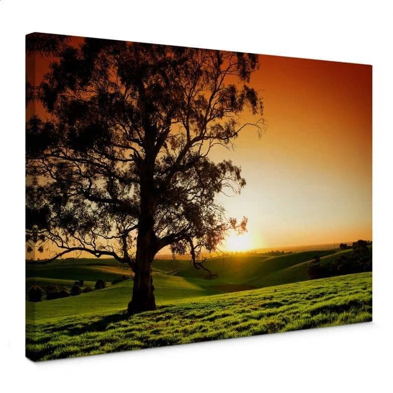 wall-art-1392808