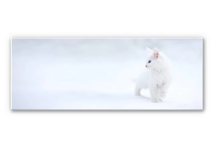 wall-art-1393401