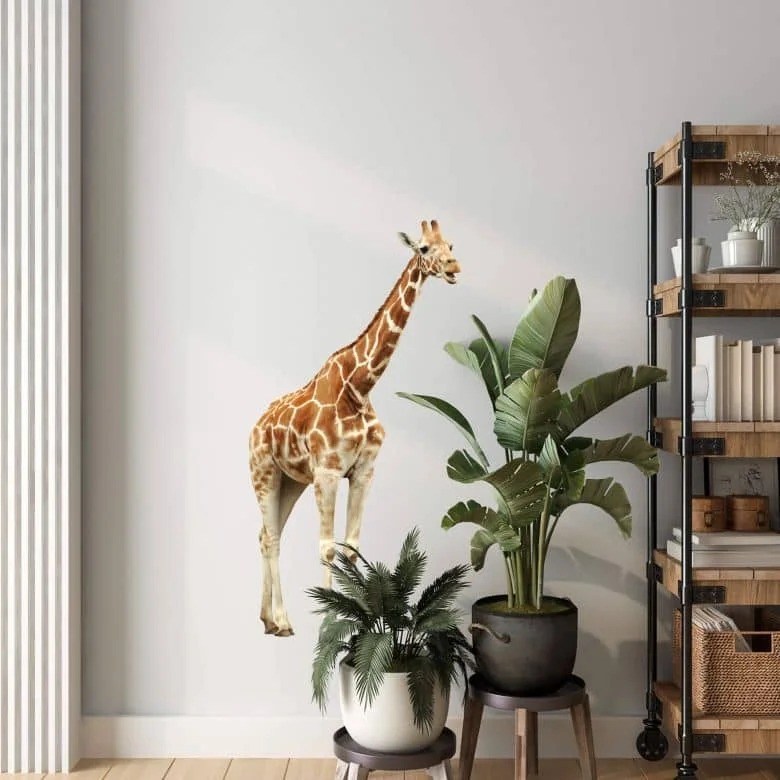 wall-art-1393848