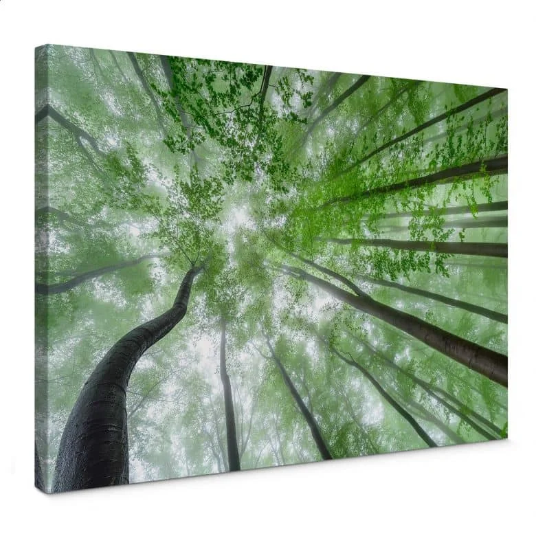 wall-art-1393997