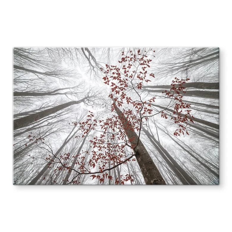 wall-art-1394146