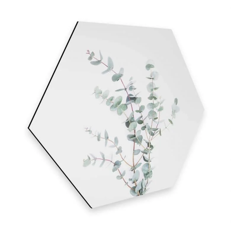 wall-art-1395096