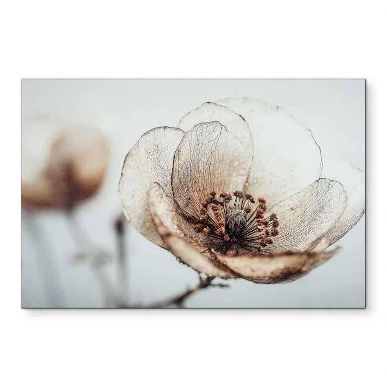 wall-art-1395333