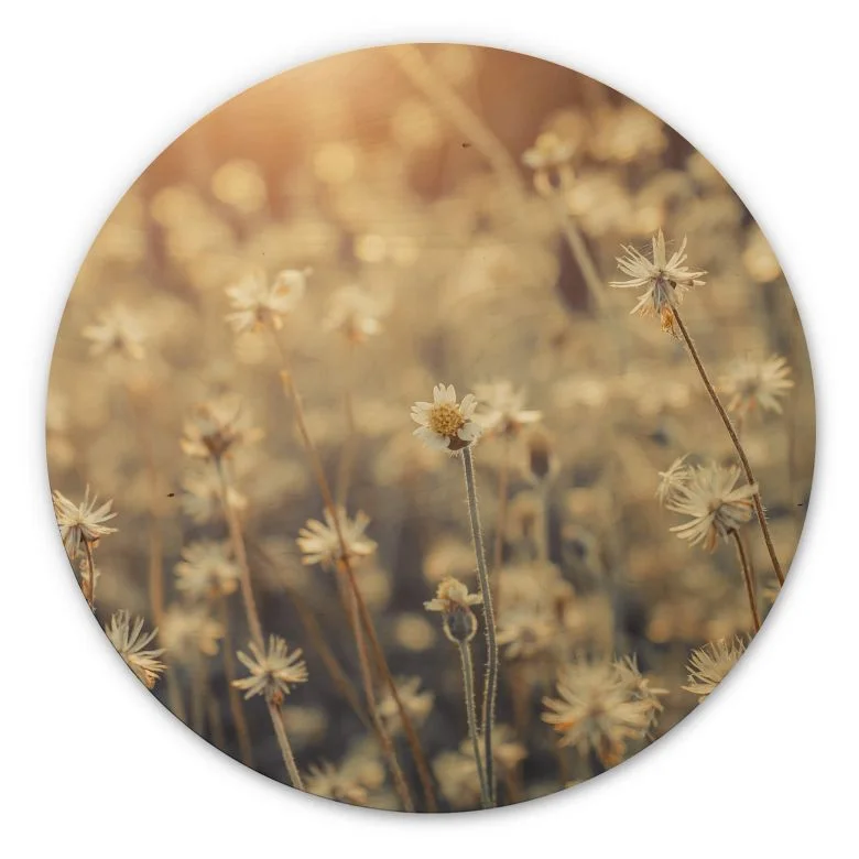 wall-art-1395334