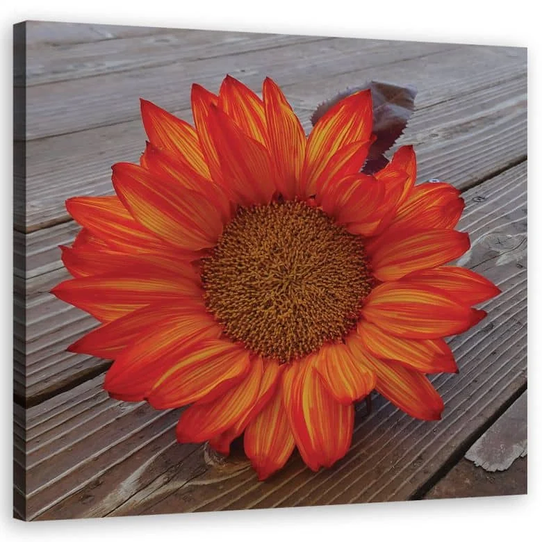 wall-art-1395399