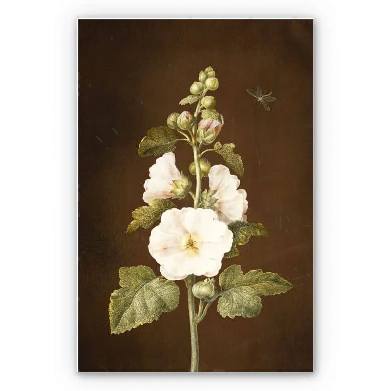 wall-art-1396356
