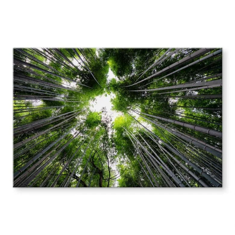 wall-art-1397336