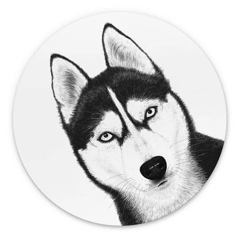 wall-art-1397485
