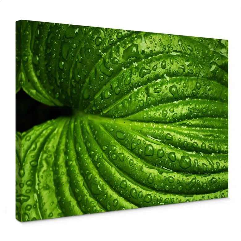 wall-art-1397766