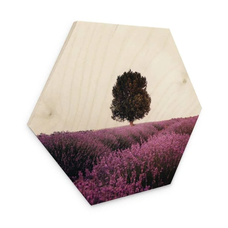 wall-art-1397949