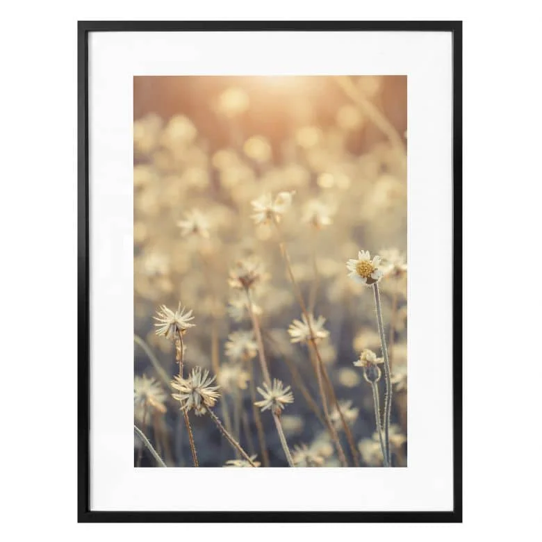 wall-art-1398065