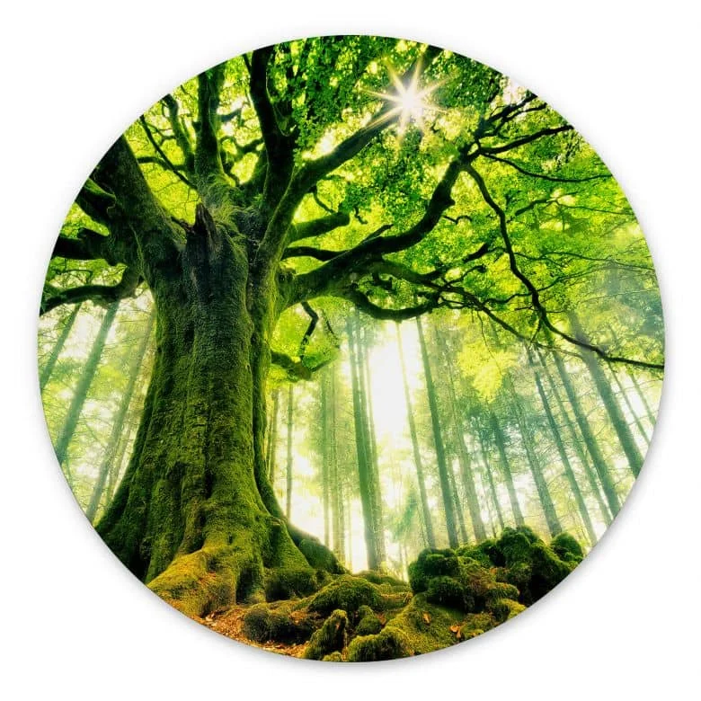 wall-art-1398549