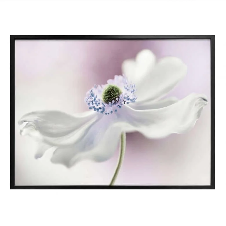 wall-art-1398804