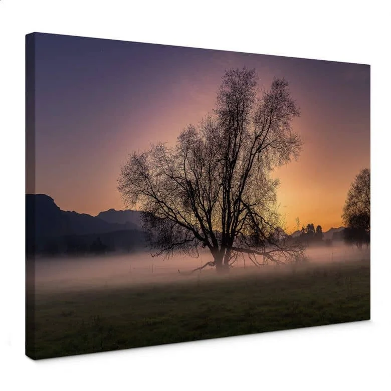 wall-art-1398860