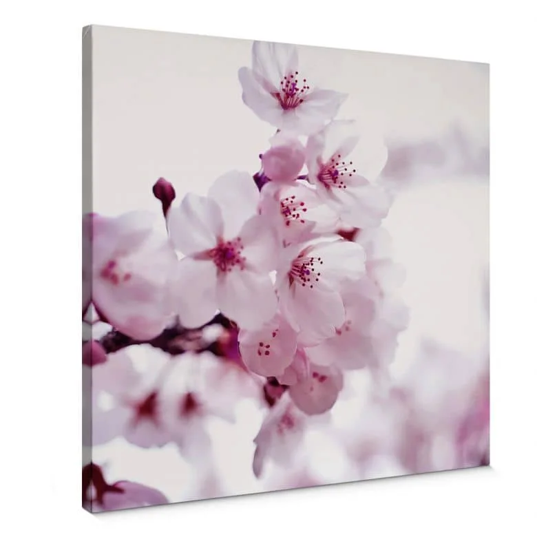 wall-art-1399417