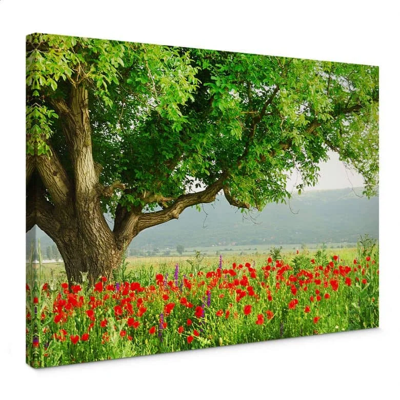 wall-art-1402938