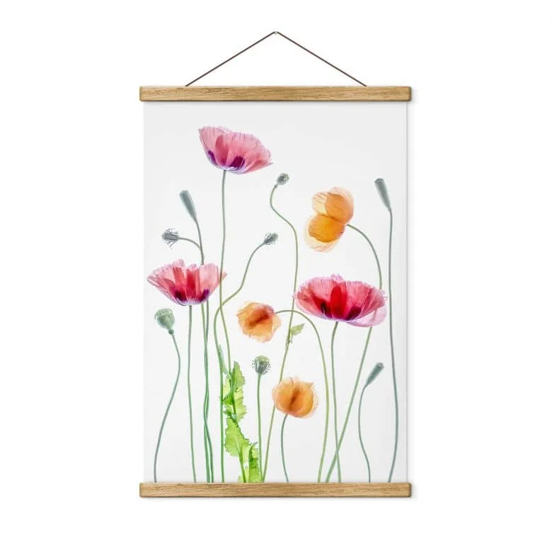 wall-art-1404486