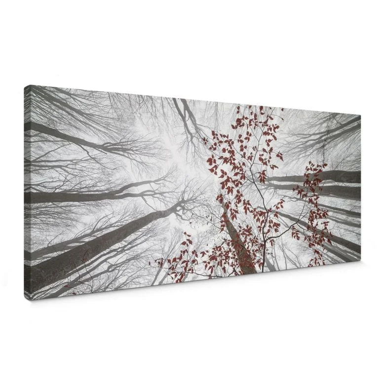 wall-art-1404586