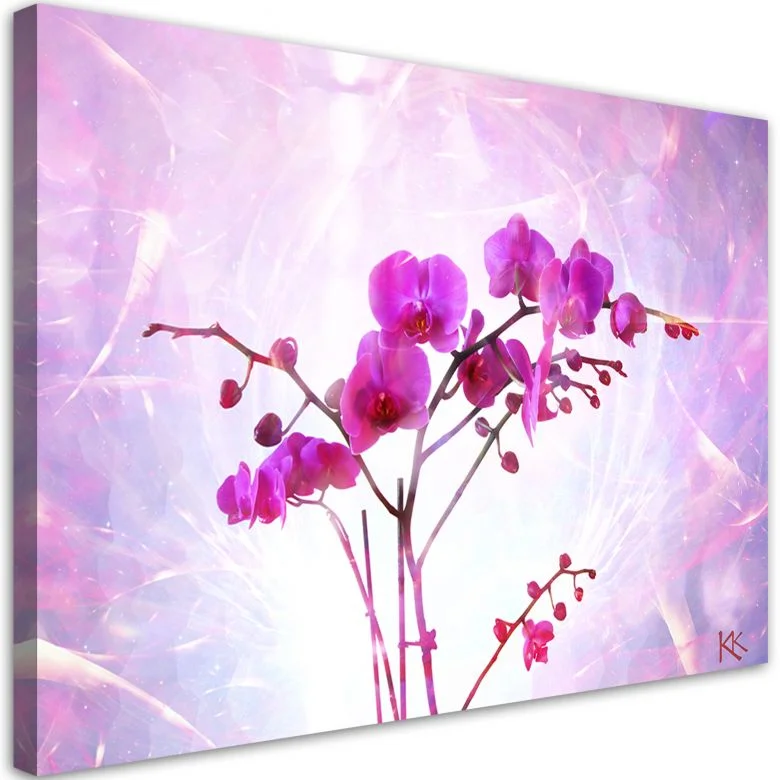 wall-art-1406442