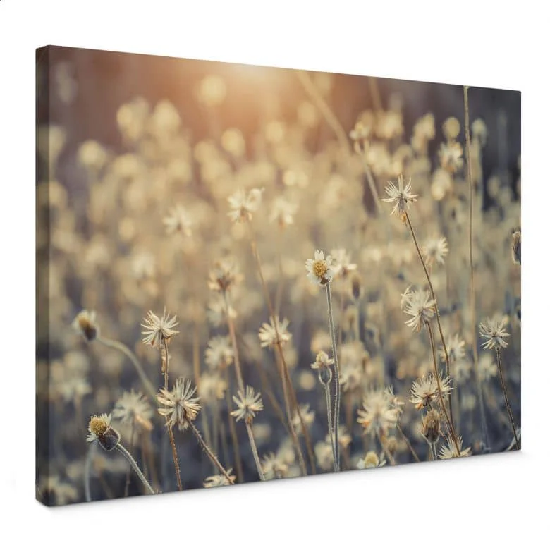 wall-art-1409822