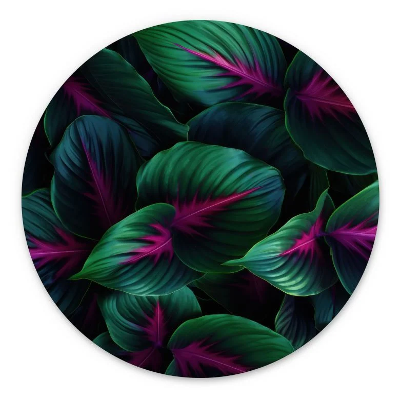 wall-art-1410164