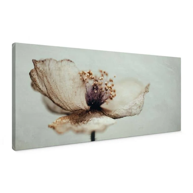 wall-art-1410558