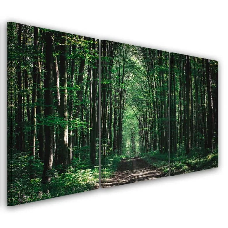 wall-art-1411468