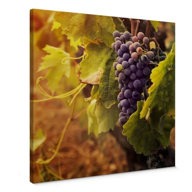 wall-art-1411532
