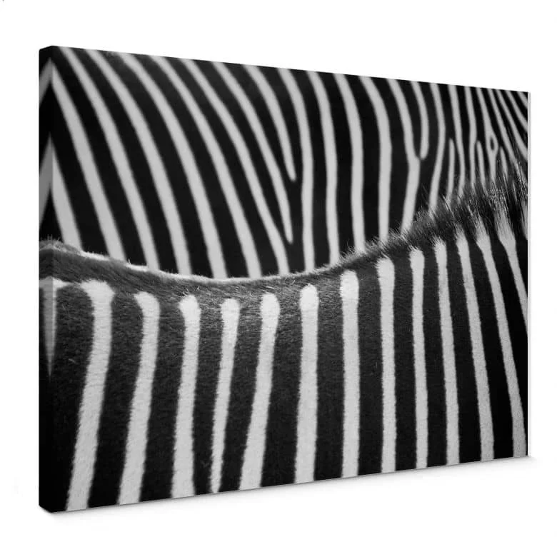 wall-art-1411596