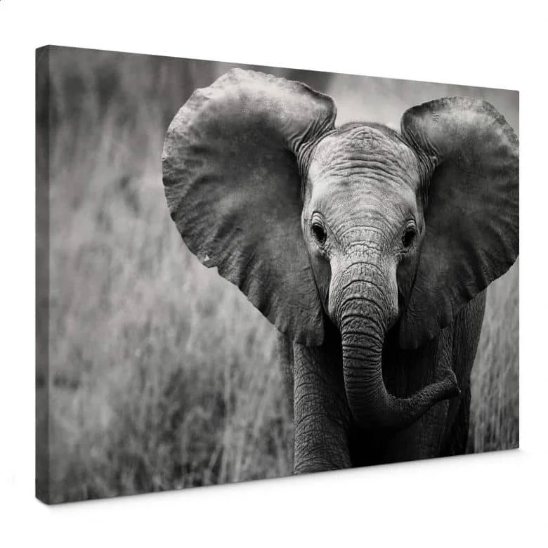 wall-art-1414087