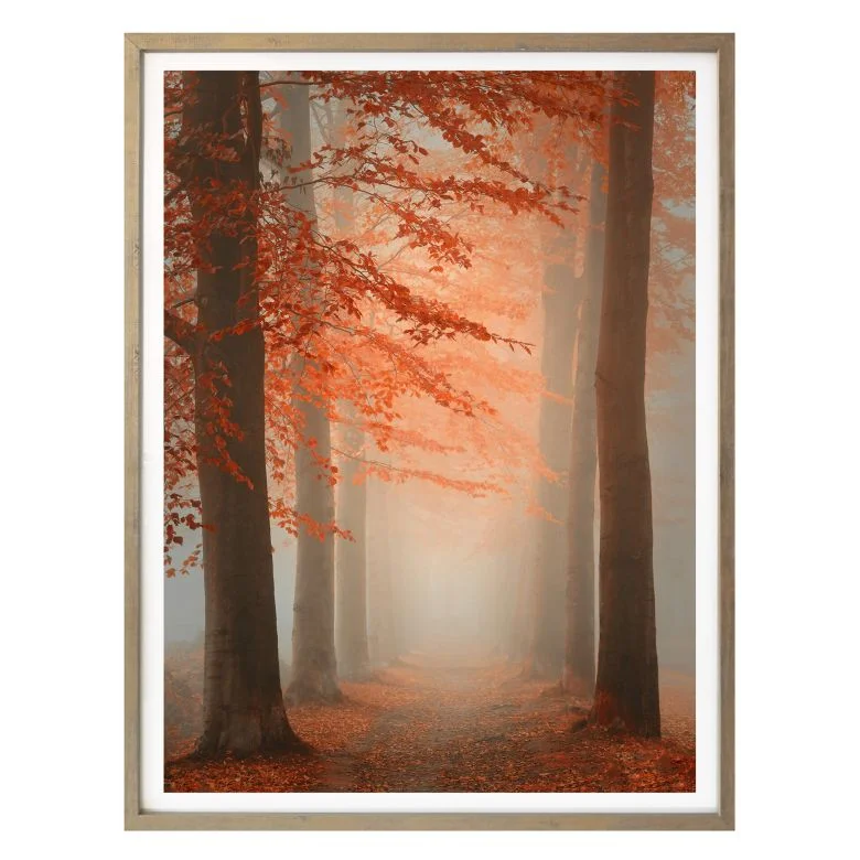 wall-art-1414269