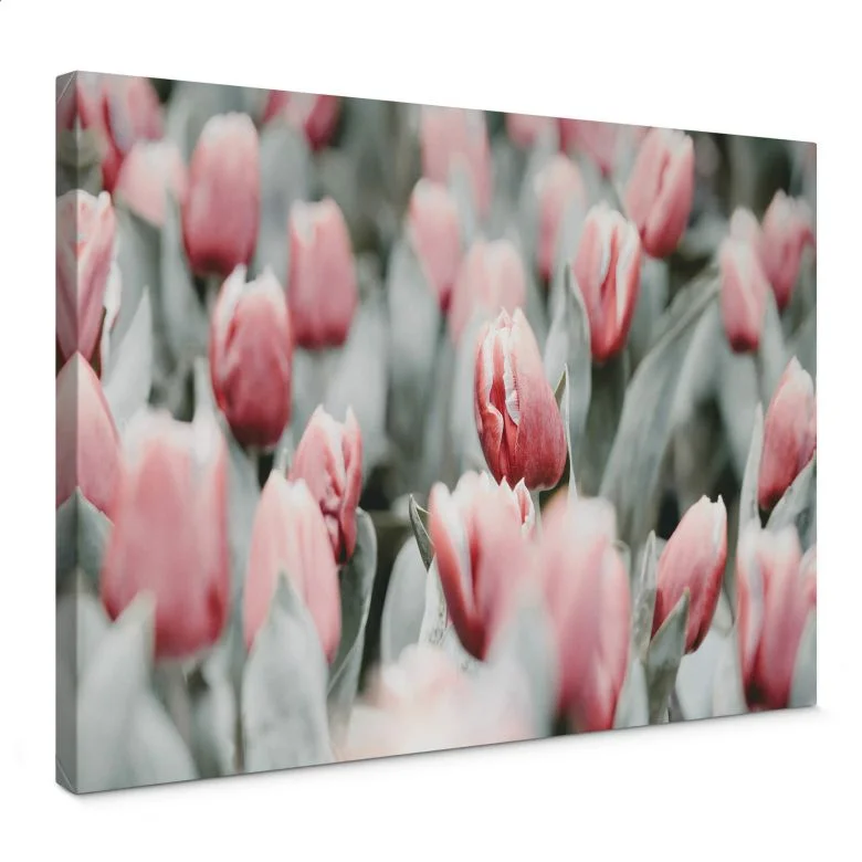 wall-art-1414330