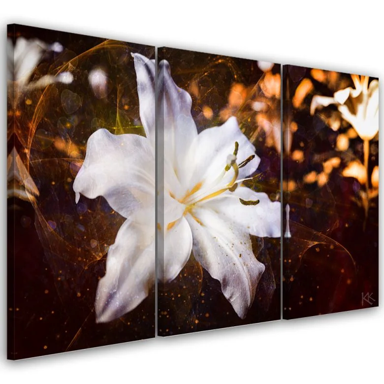 wall-art-1414521