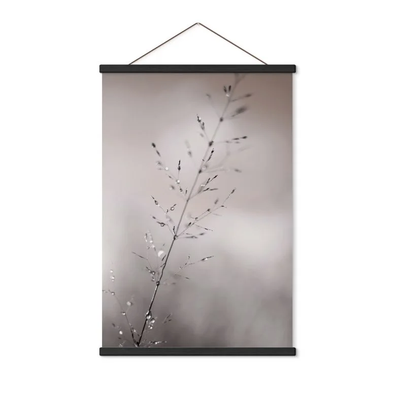 wall-art-1414629