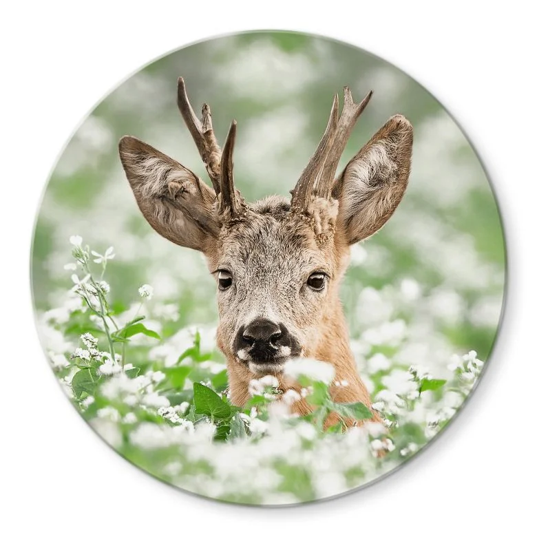 wall-art-1415652