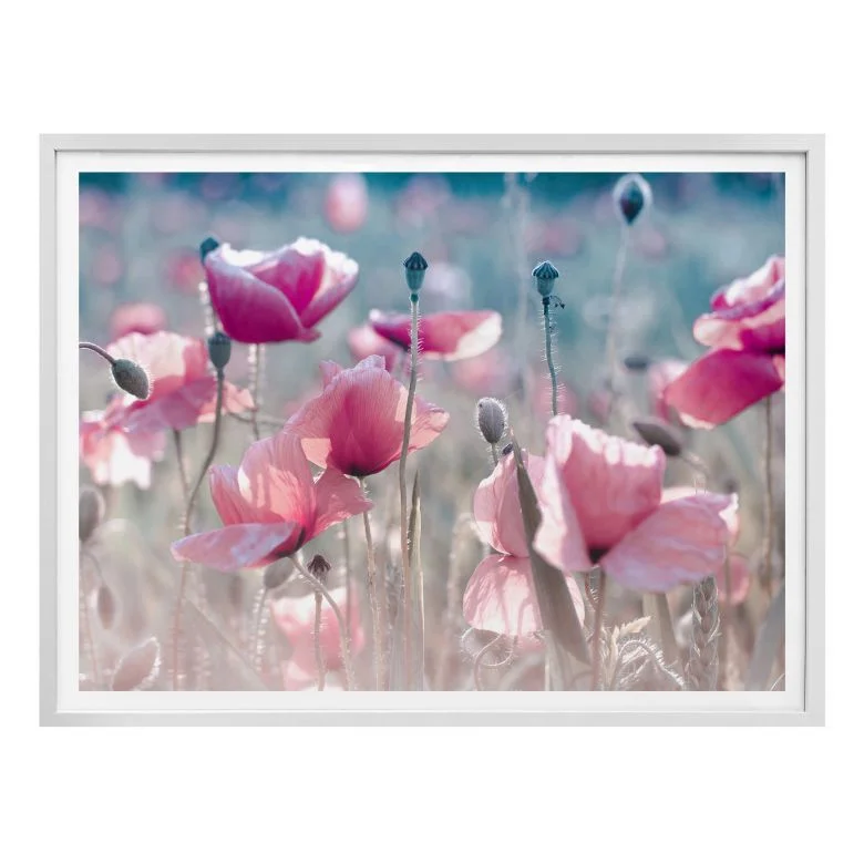 wall-art-1415966