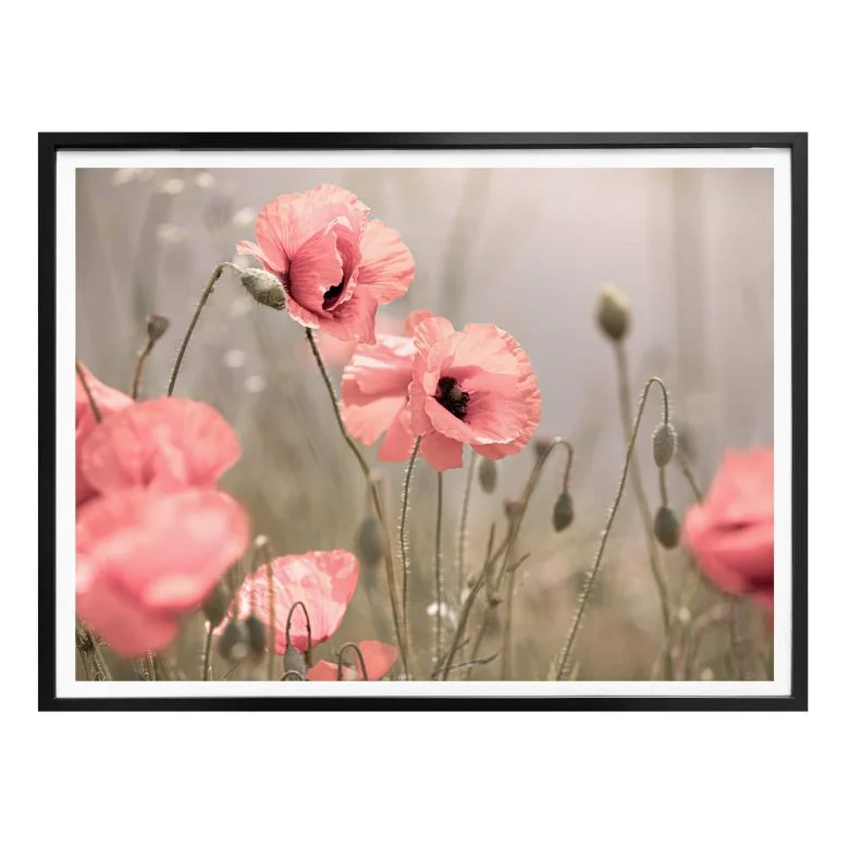 wall-art-1416335