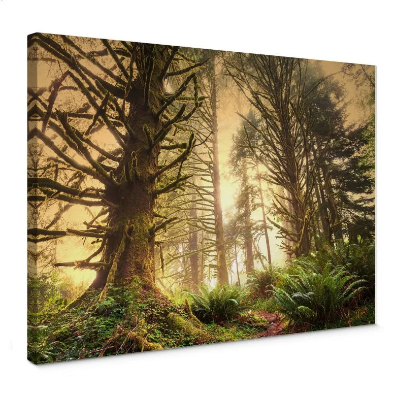 wall-art-1416478