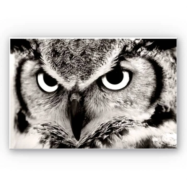 wall-art-1417128