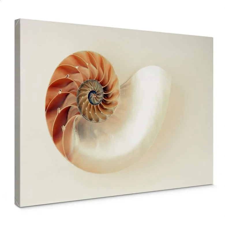 wall-art-1418567