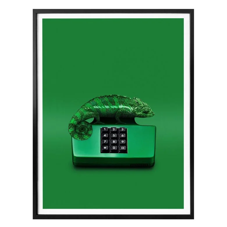 wall-art-1420677
