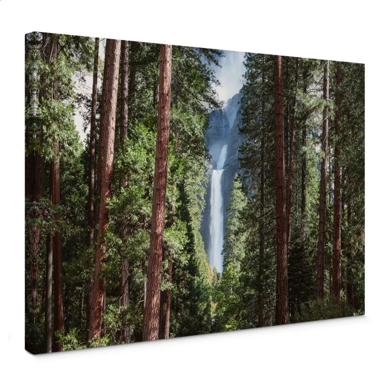 wall-art-1421711