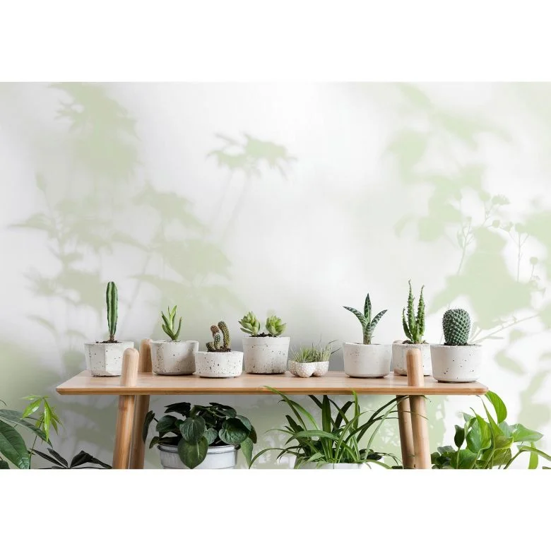 wall-art-1421870