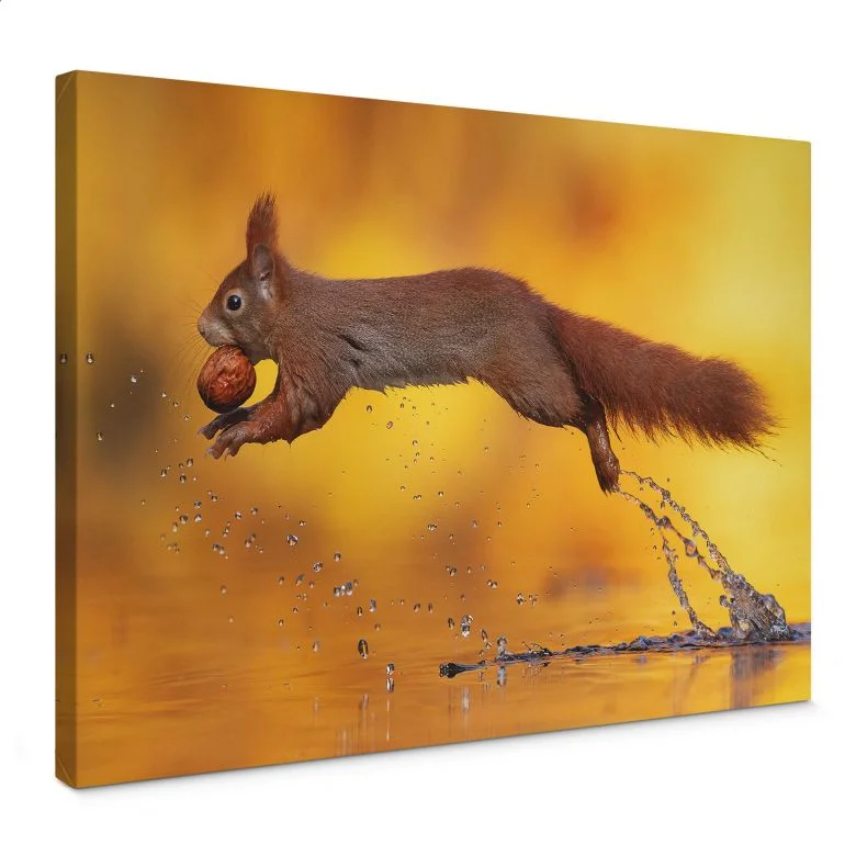 wall-art-1422150