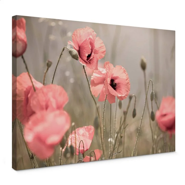 wall-art-1423314