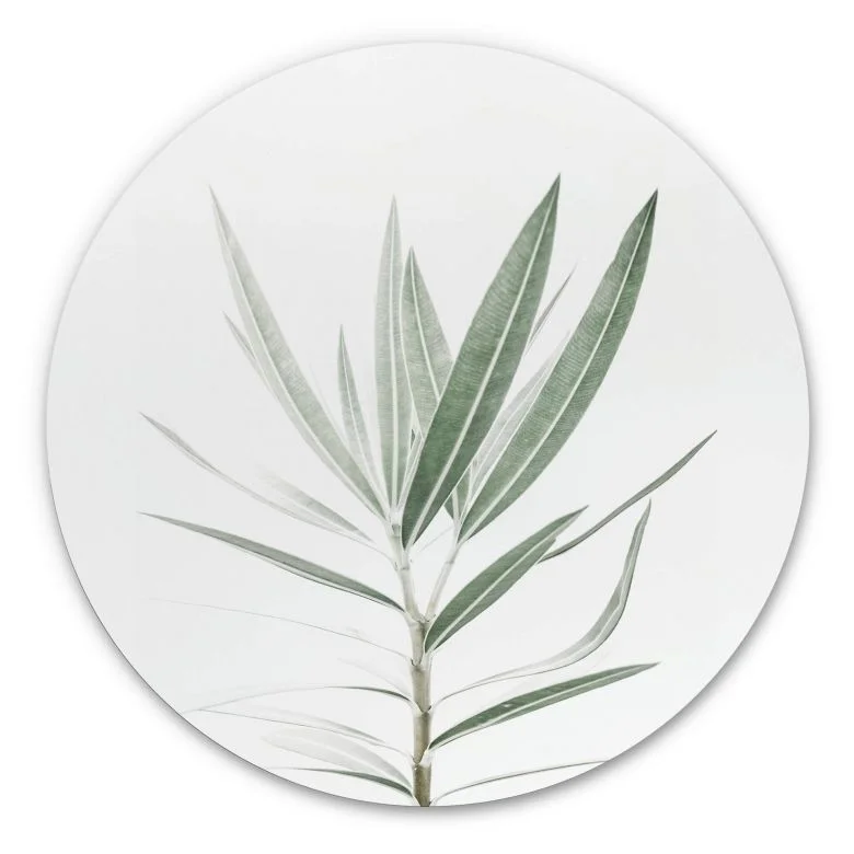 wall-art-1424106