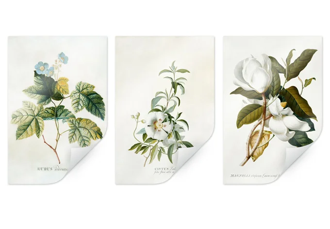 wall-art-1424144